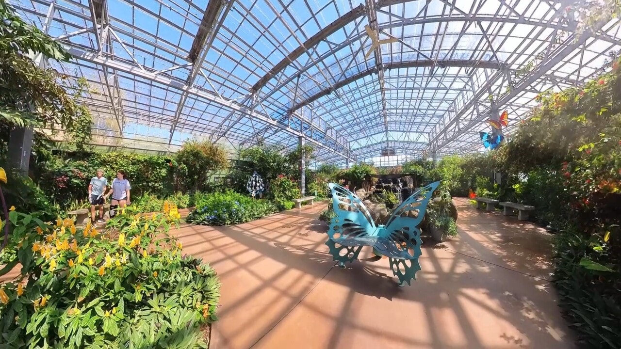 Butterfly Wonderland